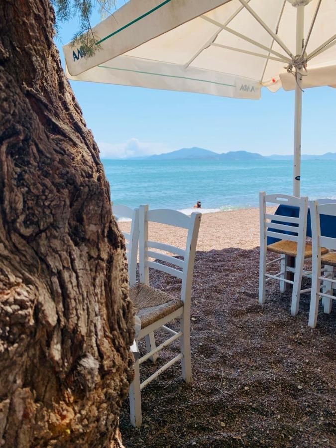 Villa ,,Sea Breeze,, - Home By The Sea Néa Ankhíalos Exterior foto